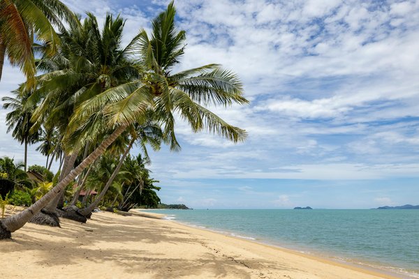 Vacances à wimereux : découvrez le charme de la côte d'opale