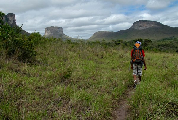 Quels sont les meilleurs conseils pour un camping en région de forêt pluviale en automne?