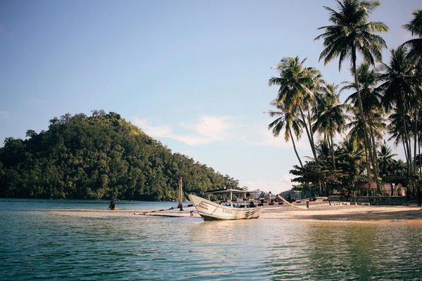 Quels sont les meilleurs spots pour observer les tortues marines en Australie?
